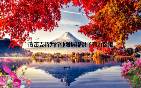 政策支持为行业发展提供了有力保障