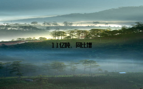 11亿吨, 同比增