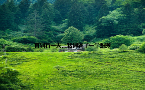 直到有一天, 我遇到了一个难题