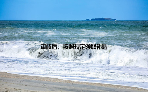 审核后, 按照规定领取补贴